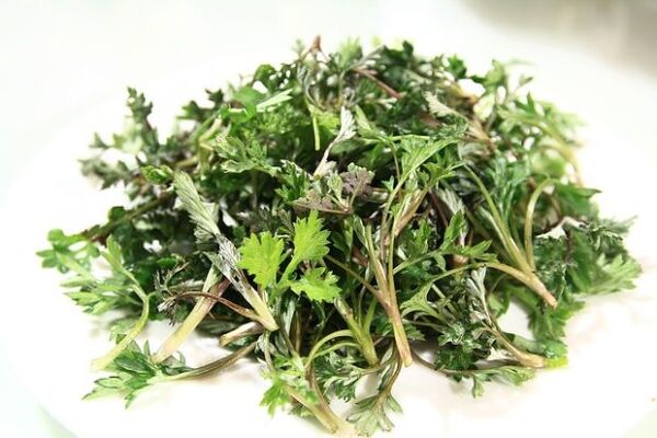 Worm parsley